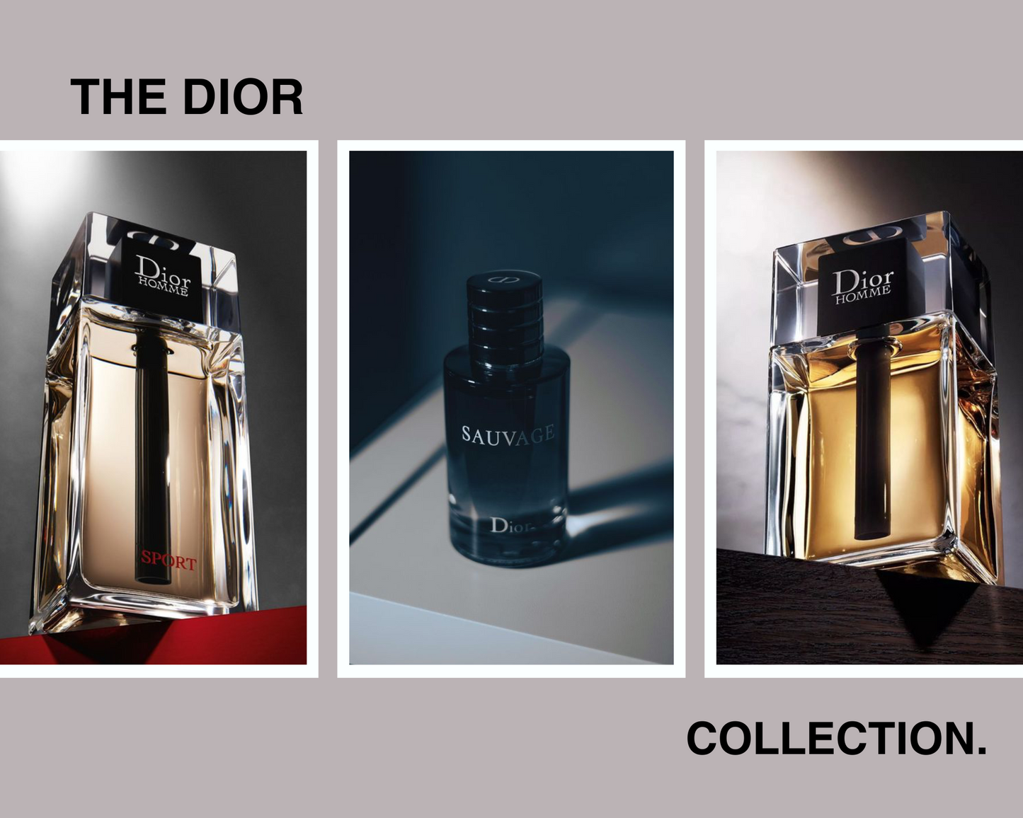 Dior collection men