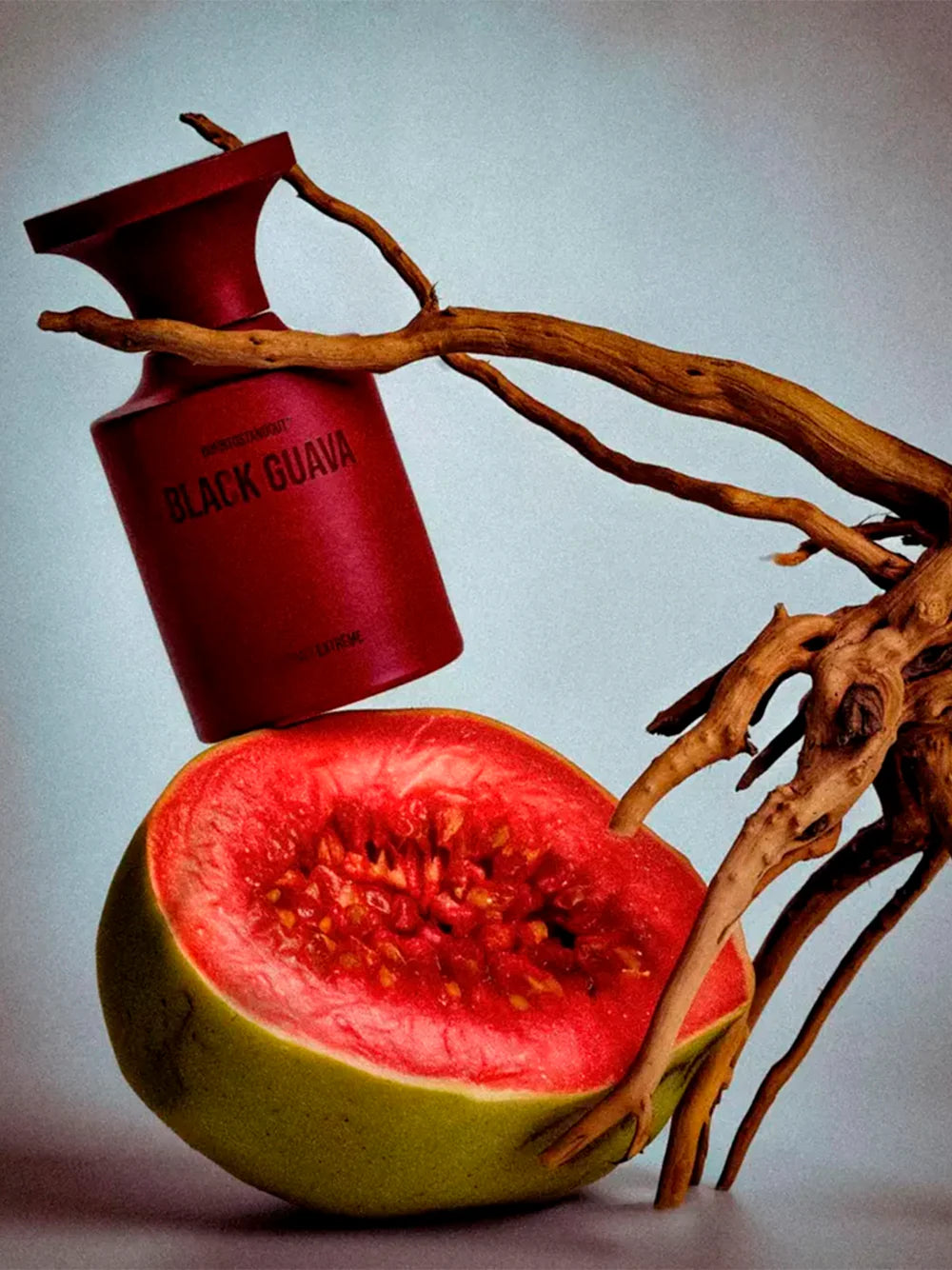 Black guava btso extreme extrait