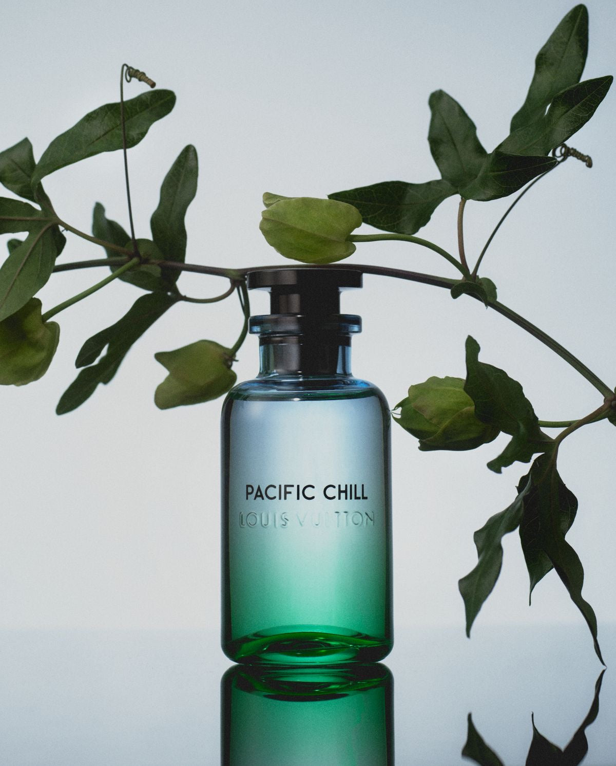 1 .Louis vuitton Pacific chill (decant)