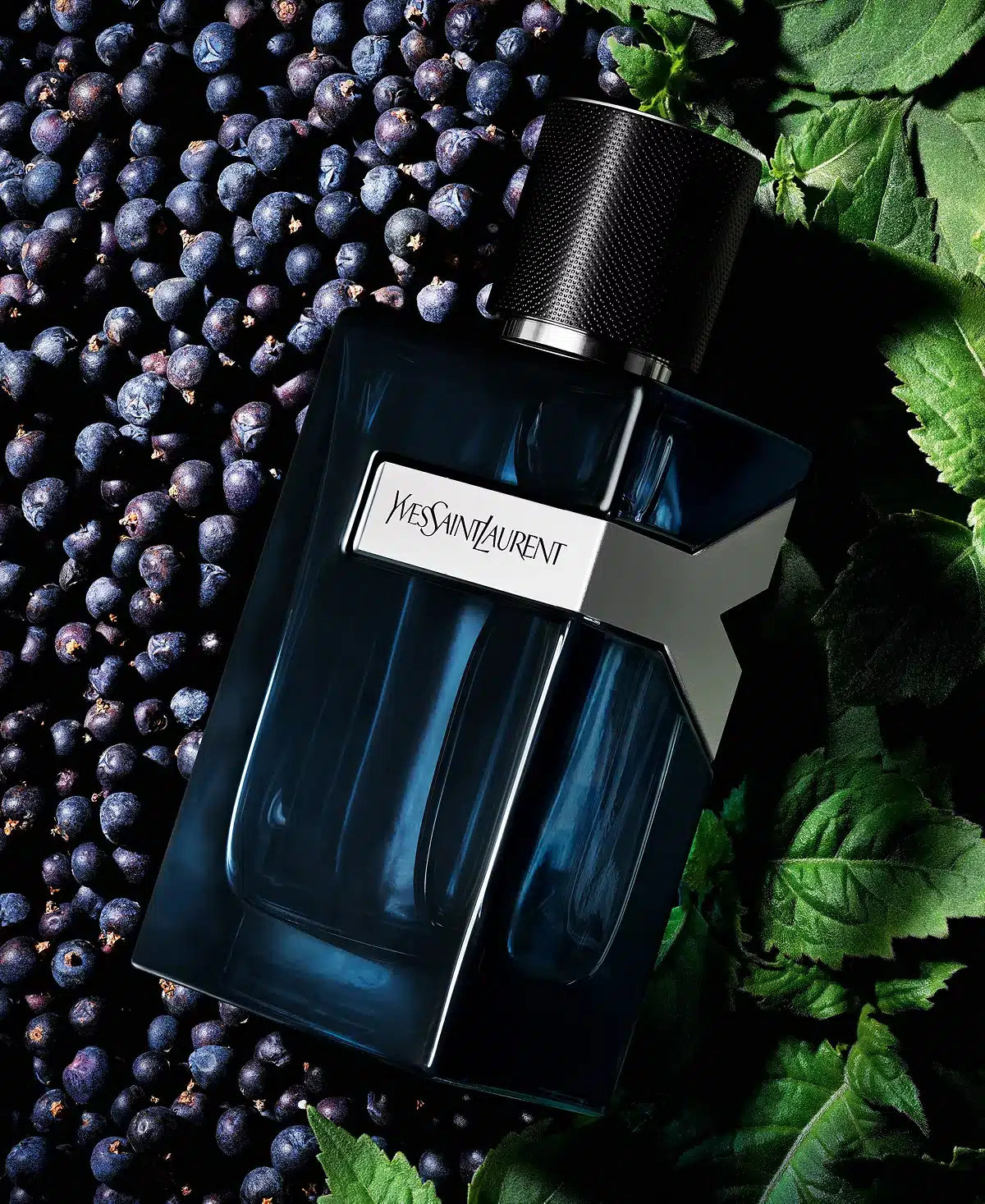 Ysl y edp intense