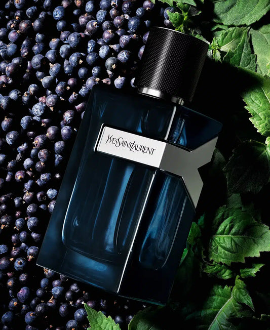 Ysl y edp intense