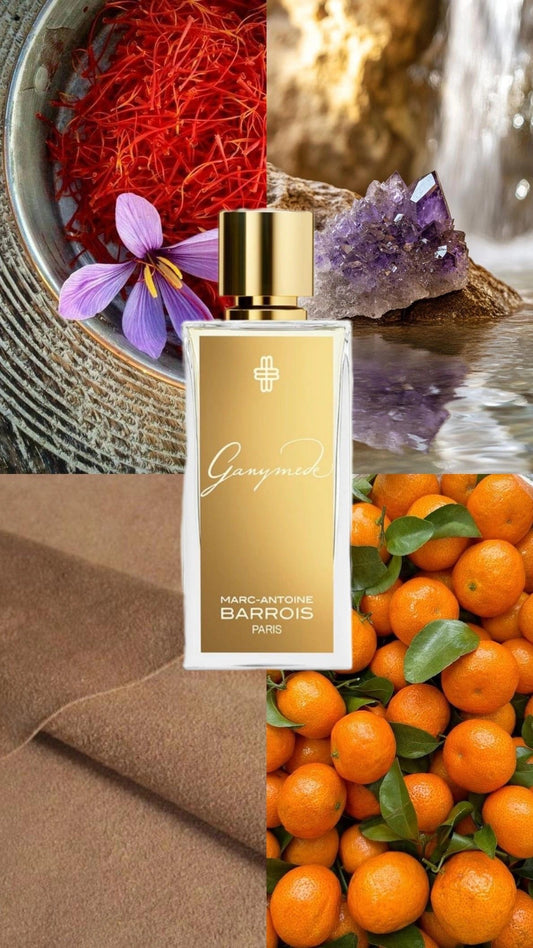 1 . Ganymede Marc antoine barrois